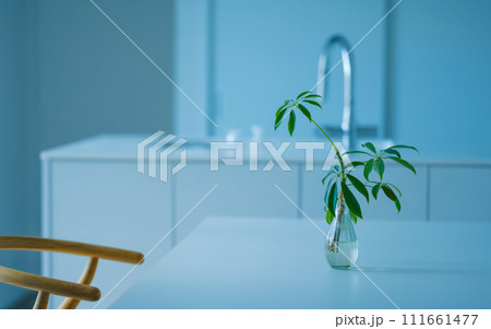 おしゃれなリノベーションマンにて 111661477