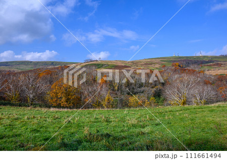 紅葉の始まった山 111661494