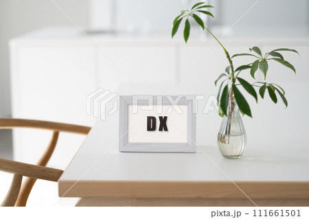 おしゃれなリノベーションマンにて 111661501