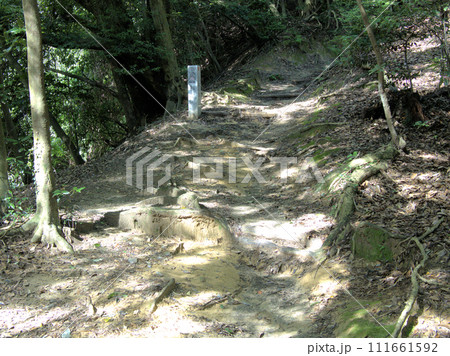天拝山への登山道四合目　福岡県筑紫野市武藏 111661592