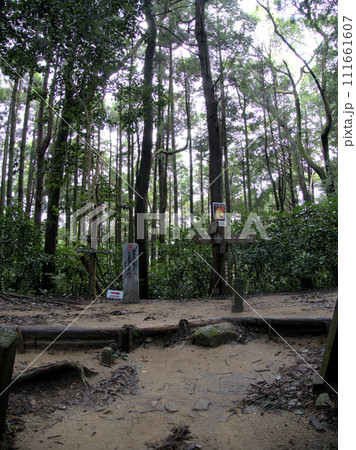 天拝山への登山道九合目　福岡県筑紫野市武藏 111661607