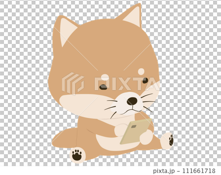 スマホを操作する柴犬 111661718