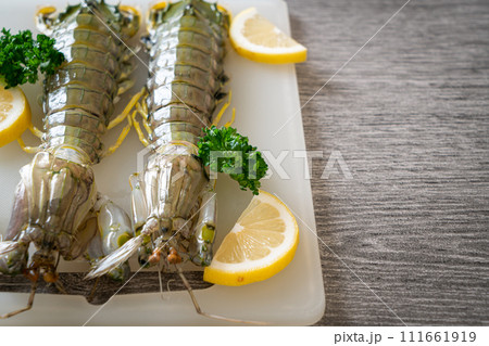 fresh mantis shrimp with lemon fresh mantis shrimp with lemon 111661919