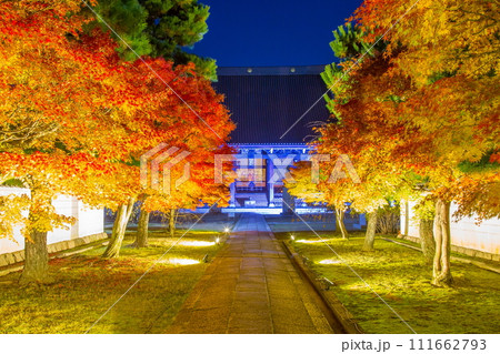 妙顕寺　紅葉 111662793