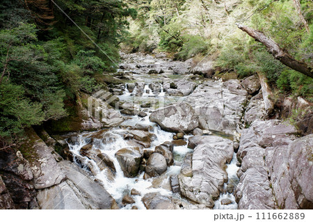 屋久島　ヤクスギランド　荒川地区の渓谷 111662889