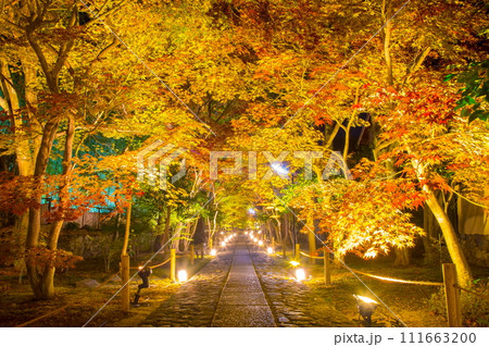 鹿王院　紅葉 111663200