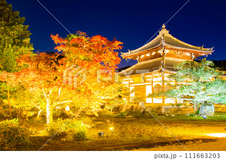 鹿王院　紅葉 111663203