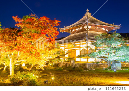 鹿王院　紅葉 111663258