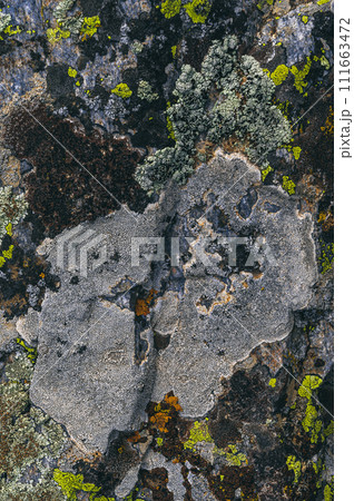 texture of stone mountain with moss close-up 111663472