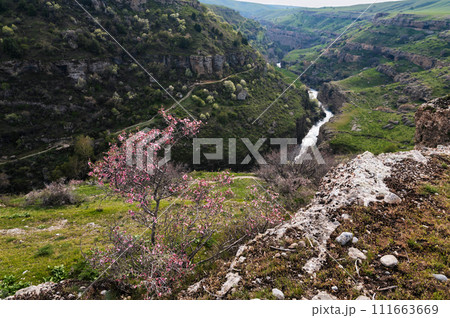 Panoramic view of Aksu canyon with a river in rocks in spring in Kazakhstan Panoramic view of Aksu canyon with a river in rocks in spring in Kazakhstan 111663669