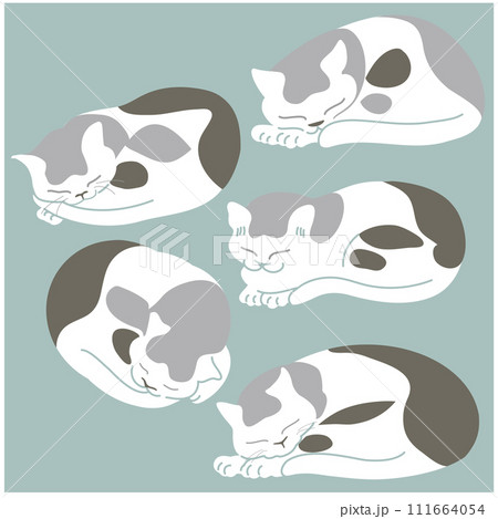丸まって眠っているかわいい猫たちのシンプルなフラットイラスト。白地にグレー。日本風 111664054