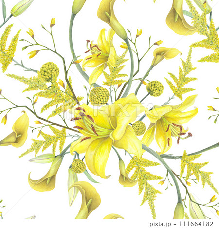 Lilies Yellow flower, calla lilies, craspedia seamless pattern isolated white background. Watercolor hand drawn botanic illustration. Art design wedding invitation, greeting card, decoration graphic Lilies Yellow flower, calla lilies, craspedia seamless pattern isolated white background. Watercolor hand drawn botanic illustration. Art design wedding invitation, greeting card, decoration graphic 111664182