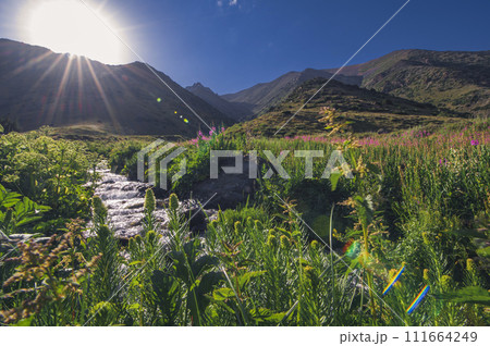 Mountain stream among grasses in summer in Koksay gorge in Aksu-Zhabagly Nature Reserve Mountain stream among grasses in summer in Koksay gorge in Aksu-Zhabagly Nature Reserve 111664249