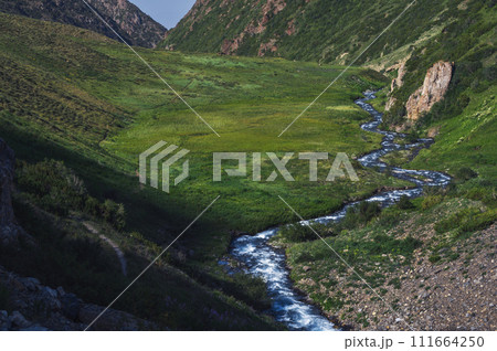 Mountain river in field in valley in Koksai gorge in the Aksu-Zhabagly Nature Reserve in Kazakhstan in summer 111664250
