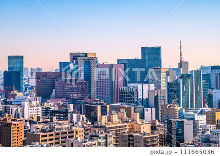 日本の東京都市景観 東京医科歯科大学などを望む。左奥は秋葉原=令和6年2月14日 日本の東京都市景観 東京医科歯科大学などを望む。左奥は秋葉原=令和6年2月14日 111665036