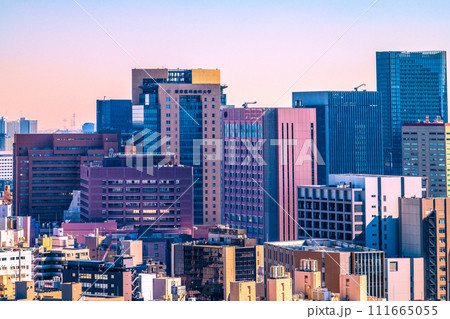 日本の東京都市景観 東京医科歯科大学などを望む＝令和6年2月14日 111665055