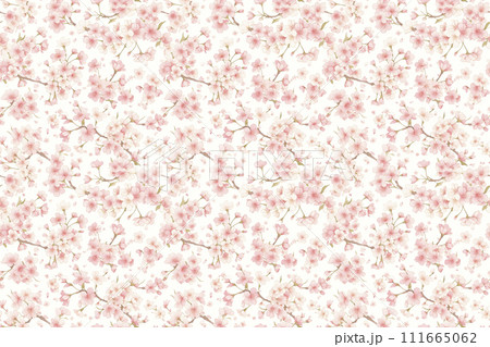 桜イラスト壁紙 桜イラスト壁紙 111665062