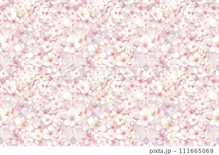 桜イラスト壁紙 111665069