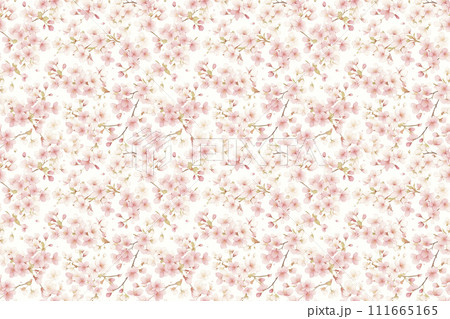 桜の水彩画風イラスト壁紙 111665165