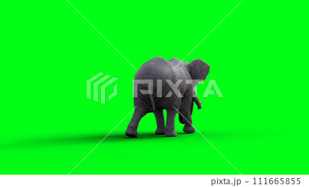 African elephant idle. 3d rendering. 111665855