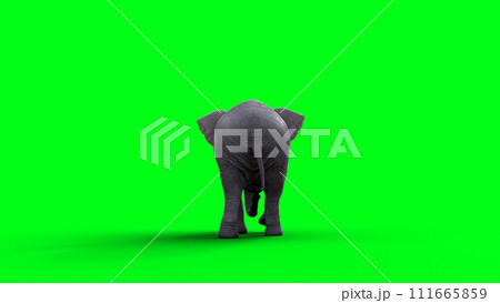 African elephant idle. 3d rendering. 111665859