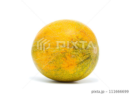 Ripe melon isolated on white background. 111666699
