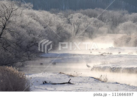 厳冬の気嵐　雪裡川　音羽橋から望む 111666897