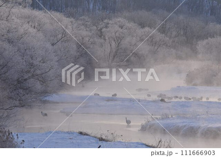 厳冬の気嵐 雪裡川 音羽橋から望む 厳冬の気嵐 雪裡川 音羽橋から望む 111666903