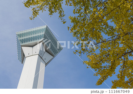 日本 北海道函館市にある五稜郭タワーと紅葉 日本 北海道函館市にある五稜郭タワーと紅葉 111667049