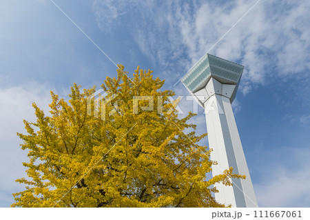 日本　北海道函館市にある五稜郭タワーと紅葉 111667061