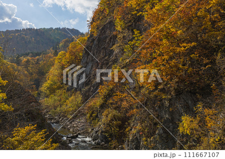 日本 北海道札幌市南区定山渓の二見吊橋から見える豊平川沿いのかっぱ淵と紅葉 日本 北海道札幌市南区定山渓の二見吊橋から見える豊平川沿いのかっぱ淵と紅葉 111667107