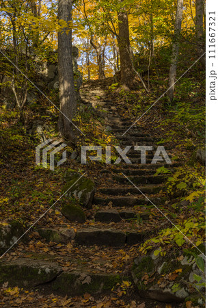 日本 北海道札幌市南区定山渓の豊平川沿いの散策路の紅葉 日本 北海道札幌市南区定山渓の豊平川沿いの散策路の紅葉 111667321
