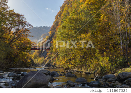 日本 北海道札幌市南区定山渓の二見吊橋と紅葉 日本 北海道札幌市南区定山渓の二見吊橋と紅葉 111667325