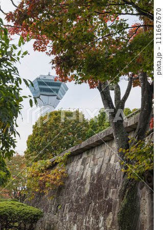日本　北海道函館市にある五稜郭公園から見える五稜郭タワー 111667670