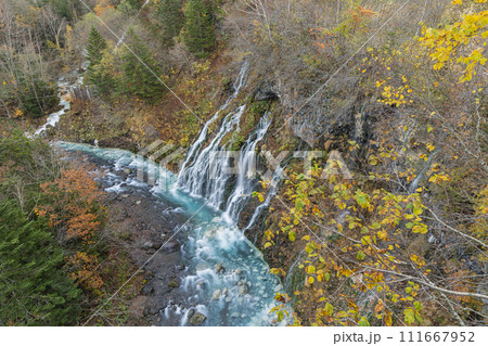 日本　北海道上川郡美瑛町白金にあるブルーリバー橋から見える白ひげの滝と紅葉 111667952
