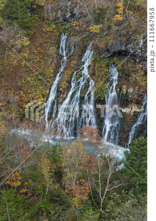 日本　北海道上川郡美瑛町白金にあるブルーリバー橋から見える白ひげの滝と紅葉 111667958