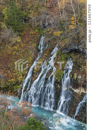 日本　北海道上川郡美瑛町白金にあるブルーリバー橋から見える白ひげの滝と紅葉 111667959
