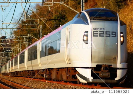 新生 E259 系としての進化　E259系・リニューアル編成 111668025
