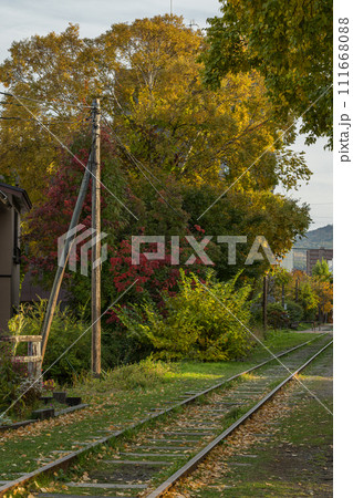 日本 北海道小樽市の廃線された旧国鉄手宮線跡地の線路と紅葉 日本 北海道小樽市の廃線された旧国鉄手宮線跡地の線路と紅葉 111668088