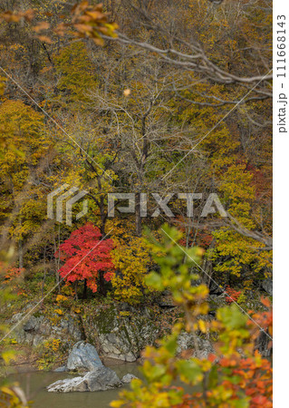 日本 北海道旭川市にある神居古潭の紅葉 日本 北海道旭川市にある神居古潭の紅葉 111668143
