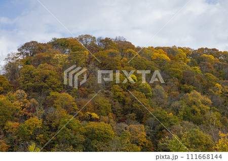 日本 北海道旭川市にある神居古潭の紅葉 日本 北海道旭川市にある神居古潭の紅葉 111668144