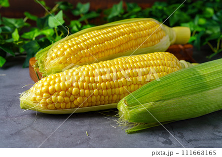 とうもろこし 111668165