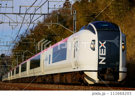 リニューアルで姿を消すE259系「成田エクスプレス」（旧塗装車） 111668205