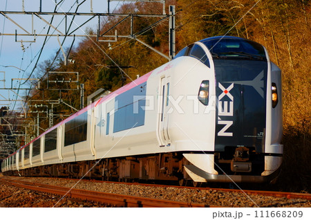 四街道～物井間を走るE259系・成田エクスプレス（旧塗装） 111668209