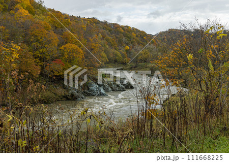 日本　北海道旭川市にある神居古潭の紅葉と石狩川 111668225