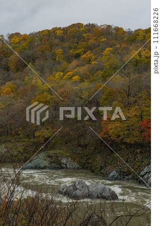 日本　北海道旭川市にある神居古潭の紅葉と石狩川 111668226