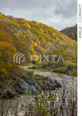日本　北海道旭川市にある神居古潭の紅葉と石狩川 111668234