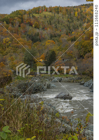日本 北海道旭川市にある神居古潭の紅葉と石狩川 日本 北海道旭川市にある神居古潭の紅葉と石狩川 111668240