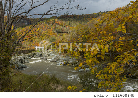日本 北海道旭川市にある神居古潭の石狩川に架かる神居大橋と紅葉 日本 北海道旭川市にある神居古潭の石狩川に架かる神居大橋と紅葉 111668249