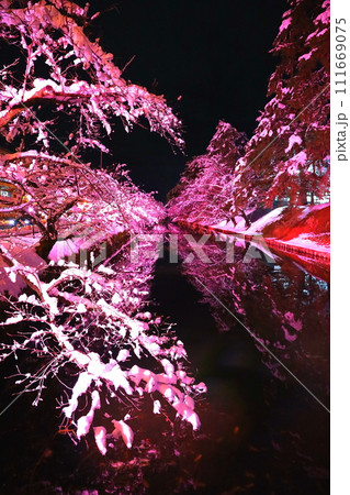 青森県弘前公園のさくらの冬のライトアップ 111669075